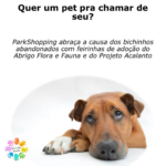 Quer um pet pra chamar de seu?