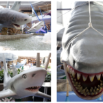 DE GRAÇA: FÉRIAS COM EXPOSIÇÃO SHARKS :: O MUNDO DOS TUBARÕES NO PARKSHOPPING